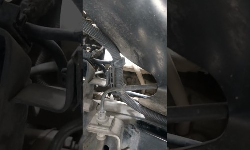 艾卤的功效网 - 网站提供艾功效和作用小常识、艾萆的功效